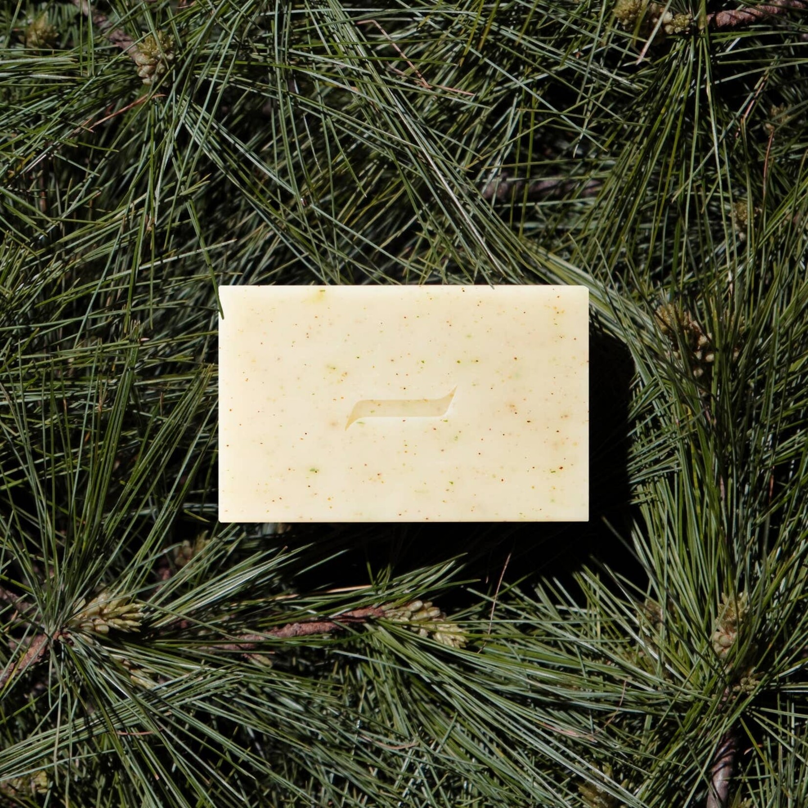 Caswell-Massey Patchouli and Pine Bar Soap