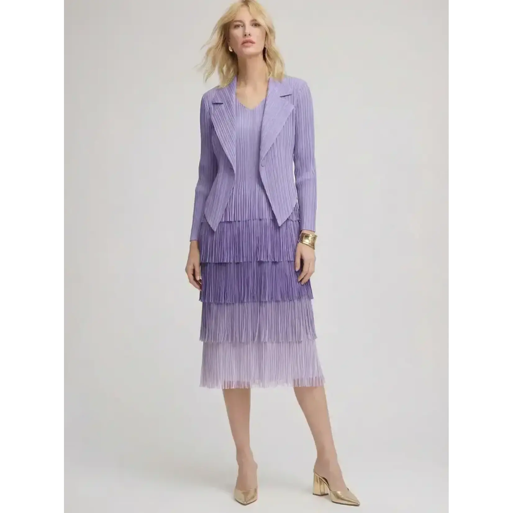 Ellyndale Ombre Pleating w/Fringe Dress in Purple One Size