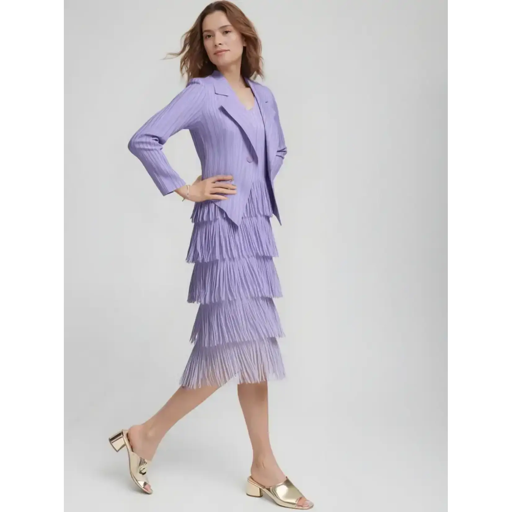 Ellyndale Ombre Pleating w/Fringe Dress in Purple One Size