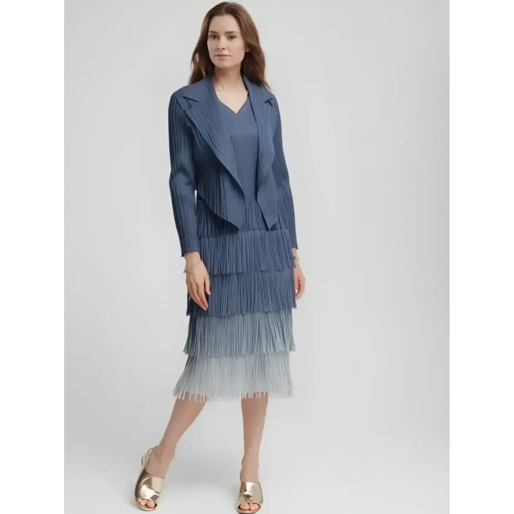 Ellyndale Ombre Pleating w/Fringe Dress in Blue One Size