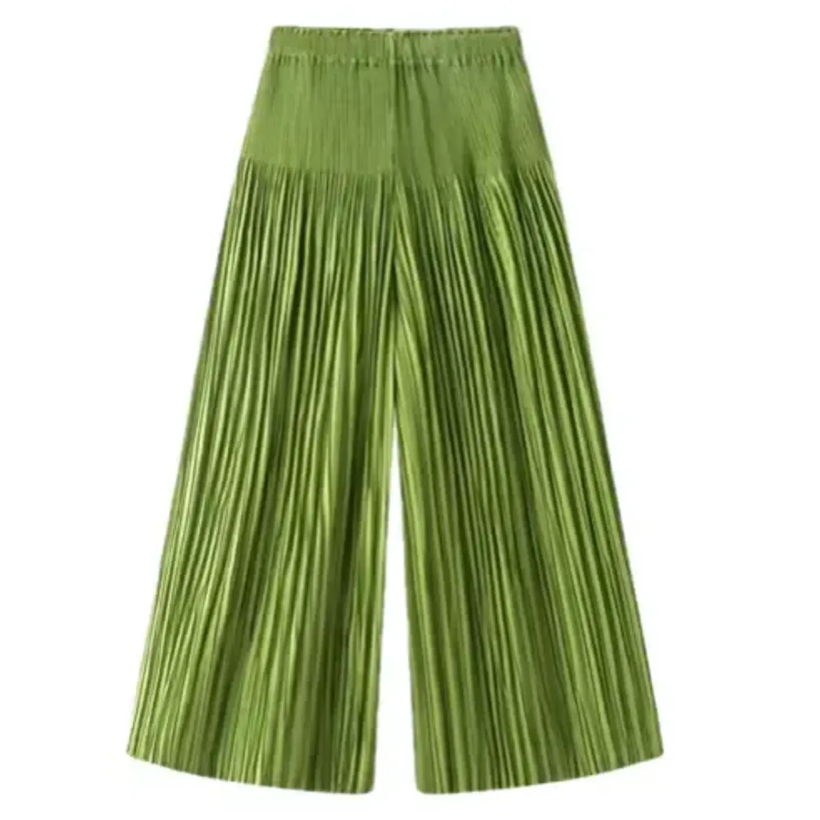 Ellyndale Pleated Pants In Green OS