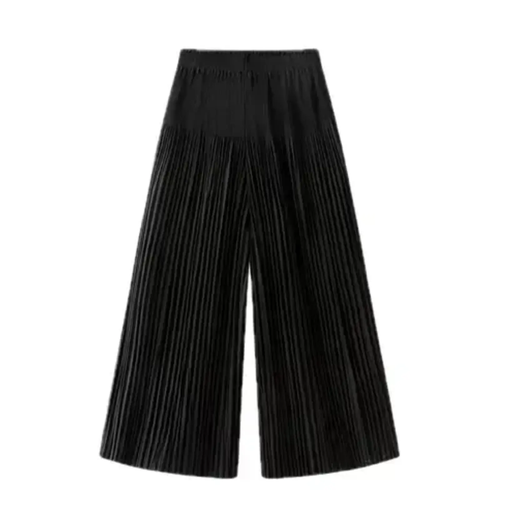Ellyndale Pleated Pants in Black OS