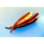 Ficcare Super Clip Jewel Tone Ruby Red Gld Med 4.5”
