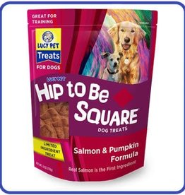 LUCY PET PRODUCTS Lucy Pet Hip to Be Square™ Salmon and Pumpkin Dog Treats 6 oz