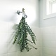 Eucalyptus Bundle