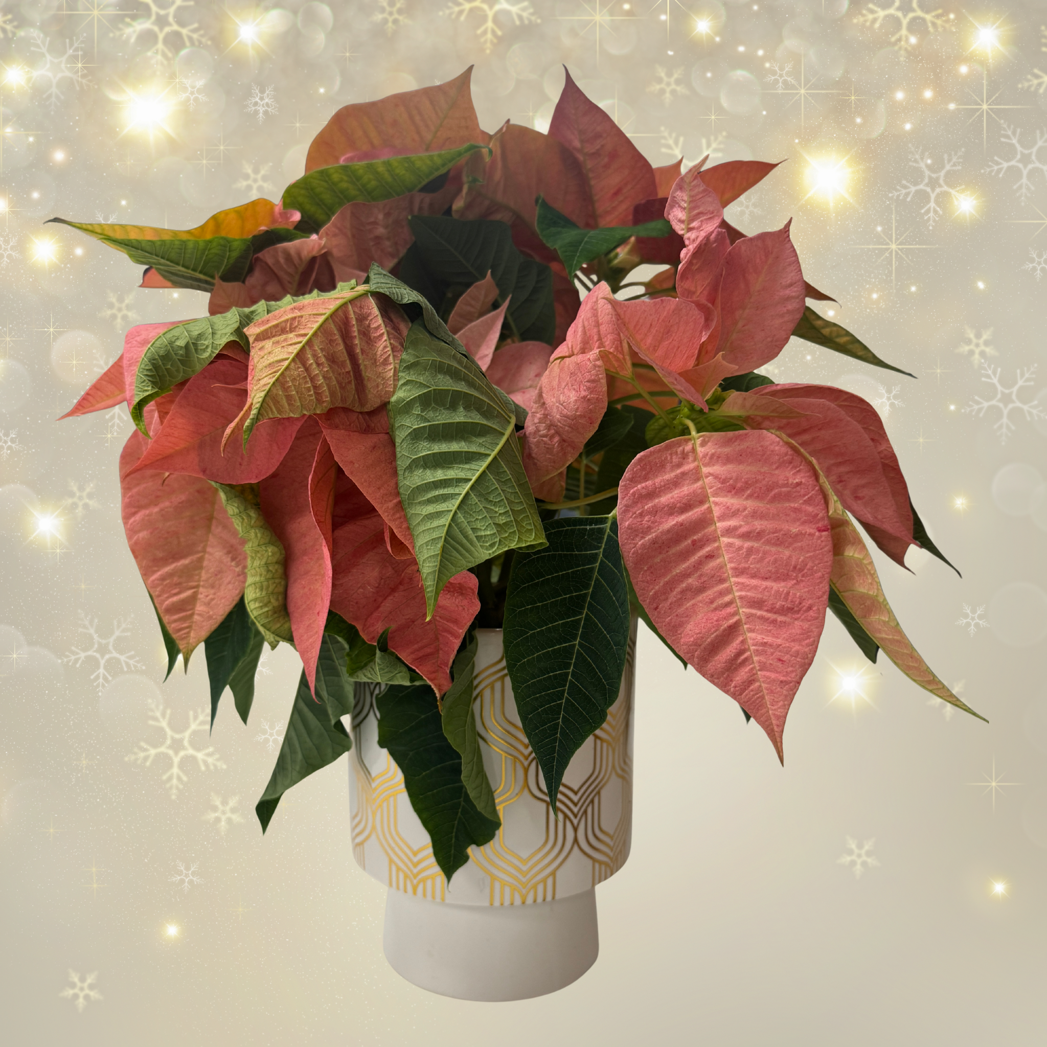 Holiday Arrangement Ceramic