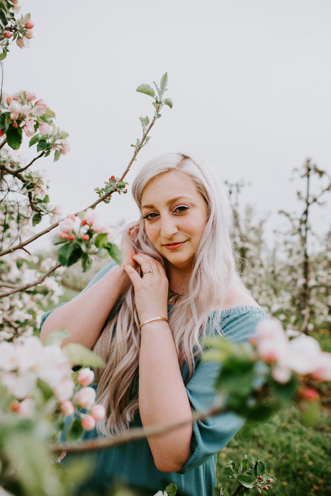 Apple Blossoms at Bellewood Acres