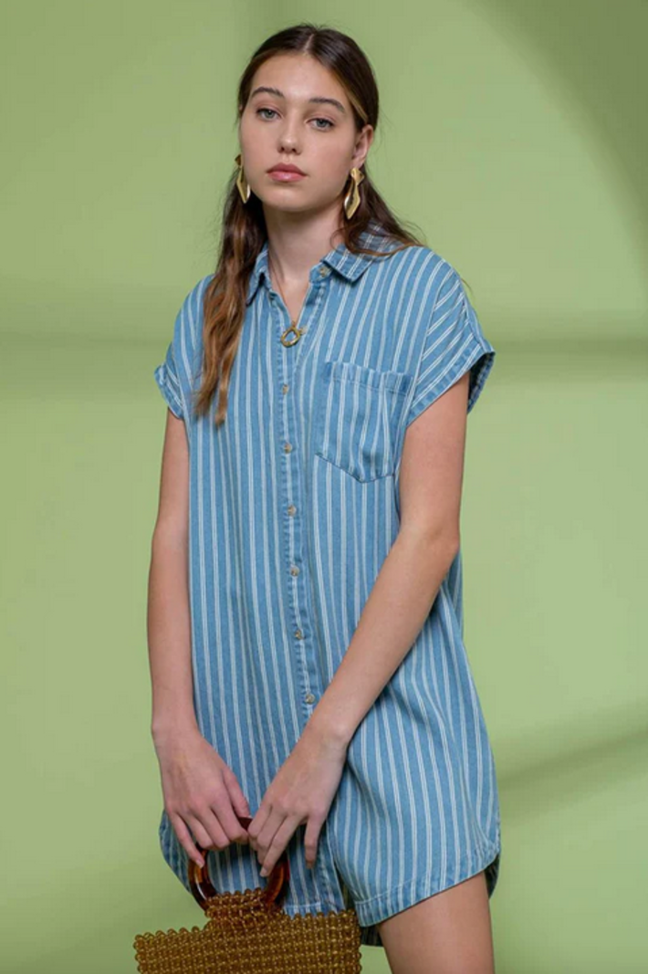 Blu Pepper Striped Chambray Shirt Dress