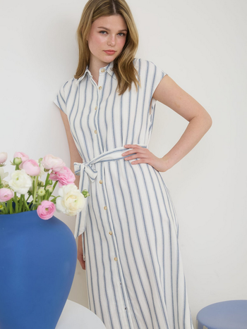 Blu Pepper Striped Shirt Dress