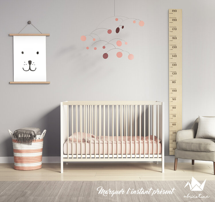 Abricotine Échelle de croissance