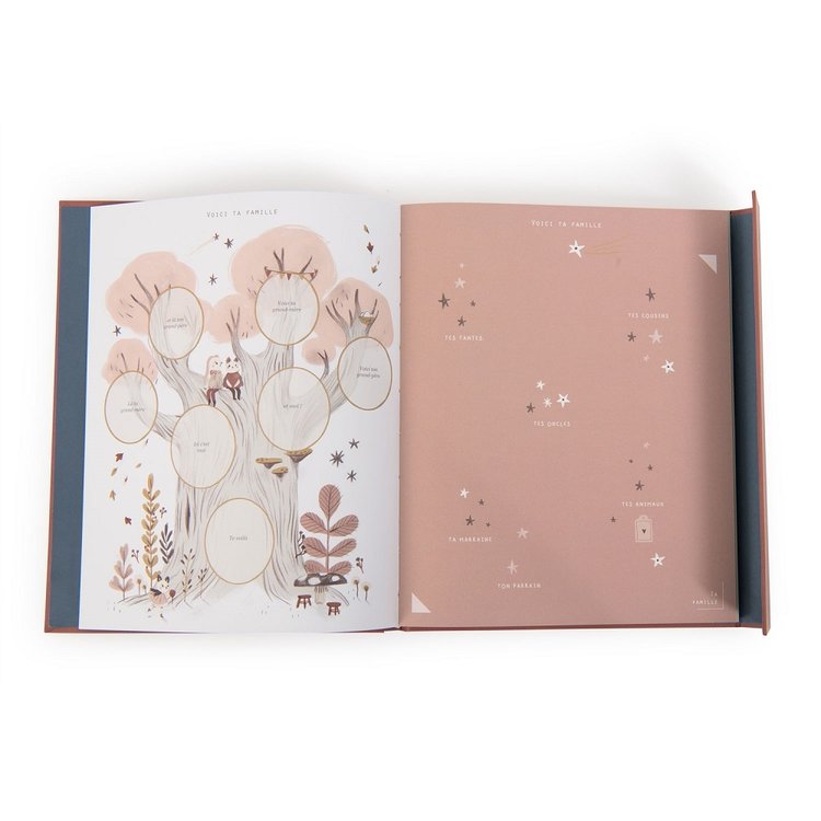 Moulin Roty Livre de naissance - Après la pluie