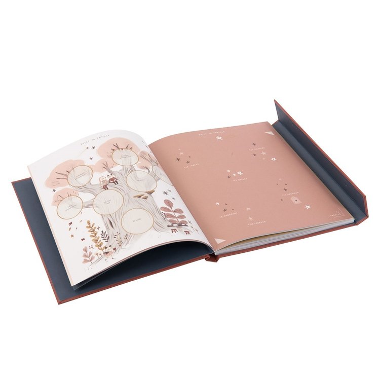 Moulin Roty Livre de naissance - Après la pluie