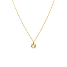 Lover's tempo Collier Daisy  - Or