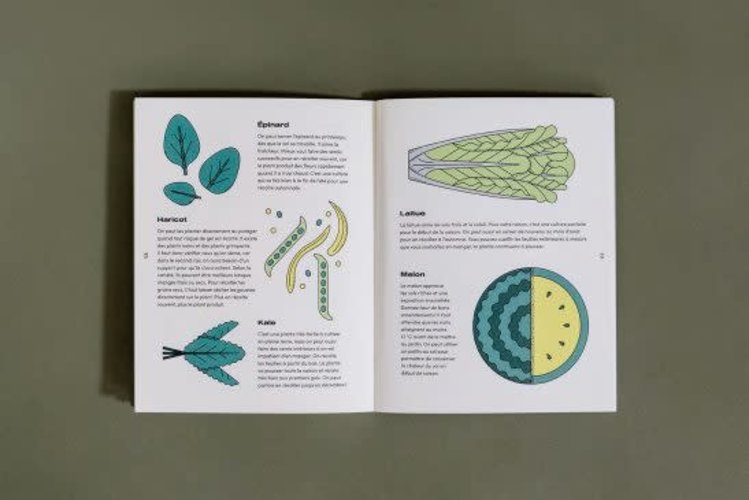 Le nutritionniste urbain Livre - Le petit guide illustré du potager