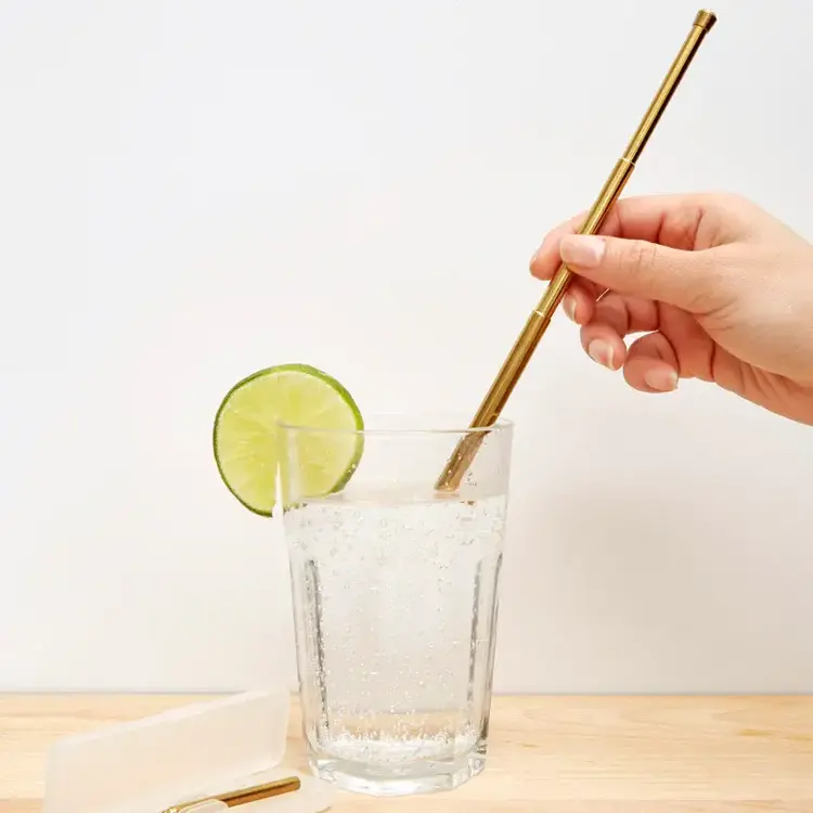 Kikkerland Paille réutilisable rétractable - ensemble de voyage - Cuivre