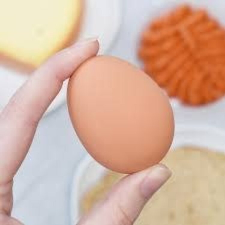 Kikkerland Balle rebondissante - Oeuf