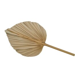 Nostalgia Feuille palmier