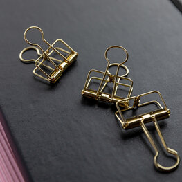 Kikkerland Petite pince dorée