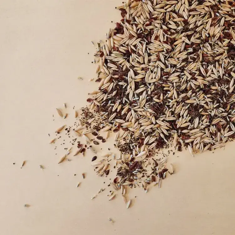 Le nutritionniste urbain Coffret de semences - Abeilles et pollinisateurs