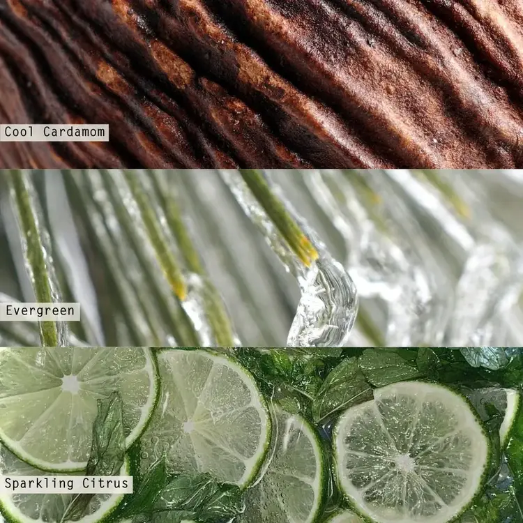 Illume Diffuseur à roseaux - Winter white