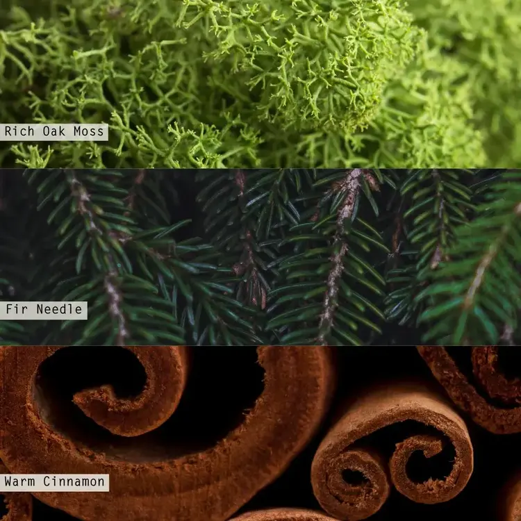 Illume Diffuseur à roseaux - Balsam & Cedar