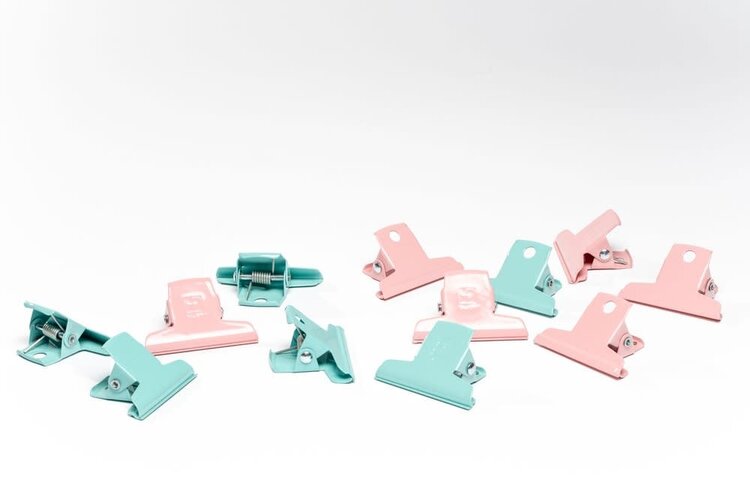 Ellepi Pince pastel - menthe - 5 cm