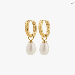 Pilgrim Boucles d'oreilles - Elliana - Or