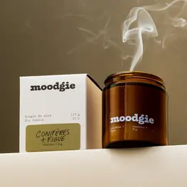 moodgie Bougie - Conifères + Figue