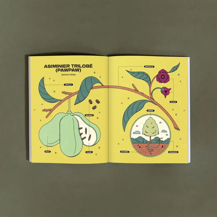 Le nutritionniste urbain Livre - Le pawpaw : son histoire et sa culture