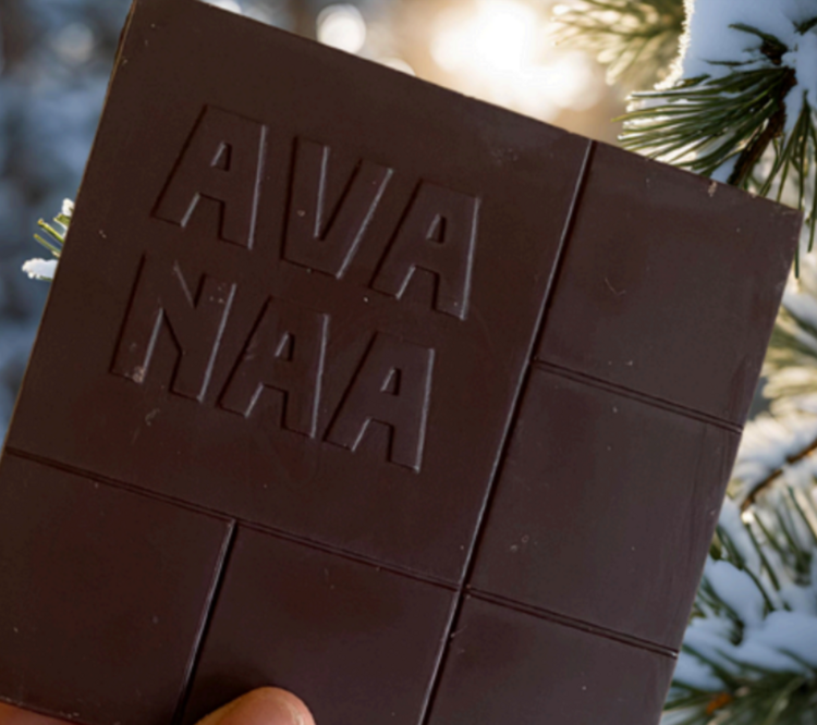 Avanaa Chocolat - Le sapin sauvage