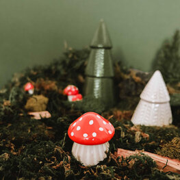 Mimi & August Le champignon