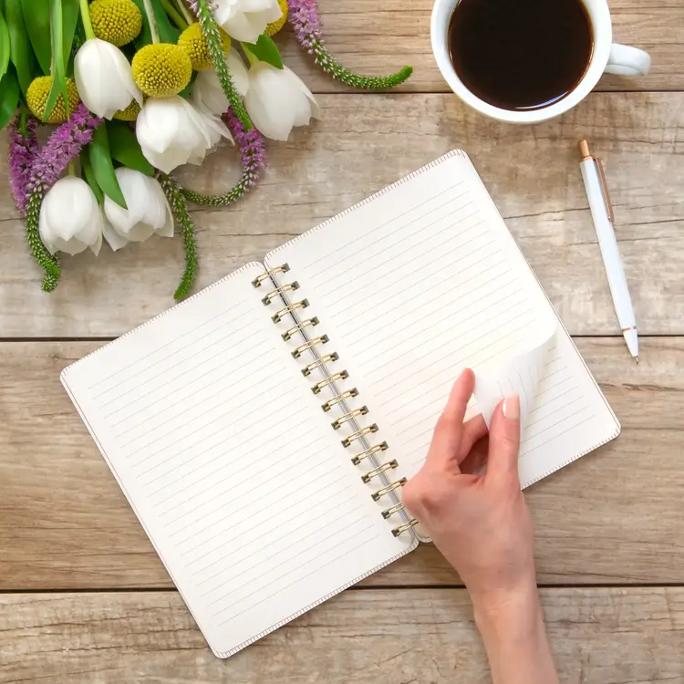 Studio Oh! Carnet de notes - Organized Chaos