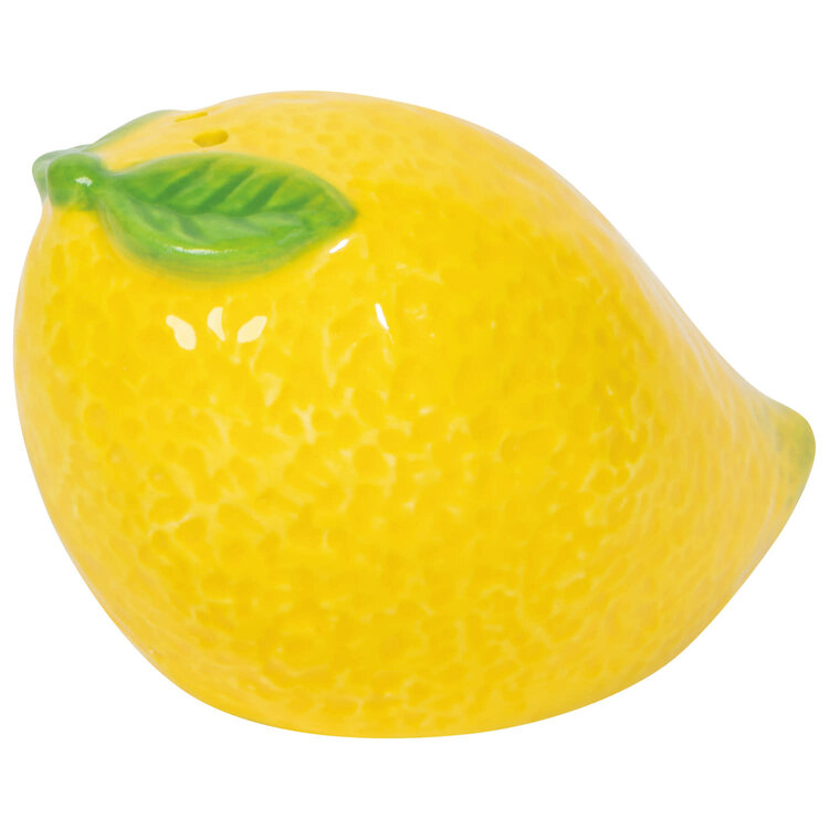 Danica Ensemble de salière et poivrière - Agrumes