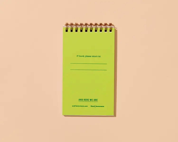 And Here We Are Carnet à spirale de poche - Rayures bleues et vertes