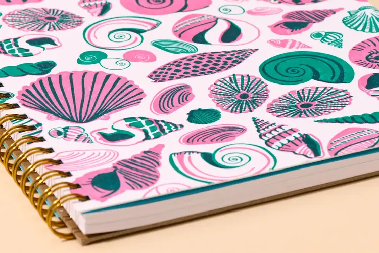 And Here We Are Carnet à spirale - Motif coquillages marins