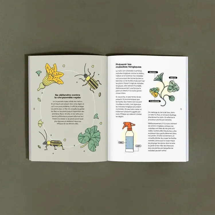 Le nutritionniste urbain Livre - Le melon de Montréal : son histoire et sa culture