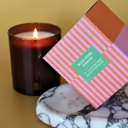 Botanica Bougie - Rose Sauvage + Gingembre