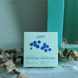 Les Pétards Barre nettoyante - Eucalyptus chéri