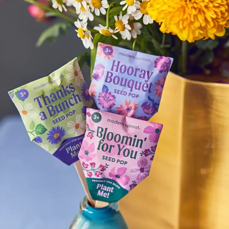 Modern Sprout Semences - Sur bâton - Bloomin' for you
