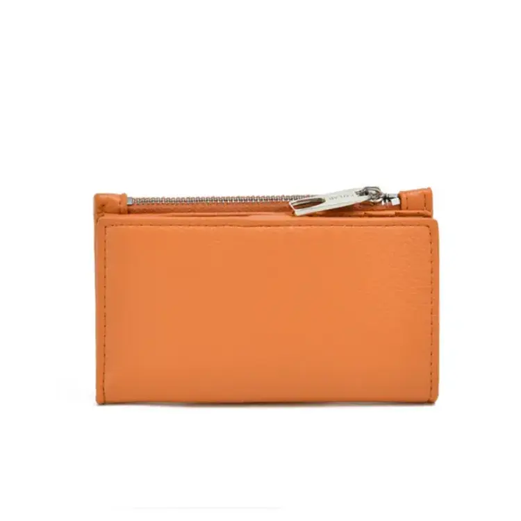 CO LAB Portefeuille Dixon - Zest