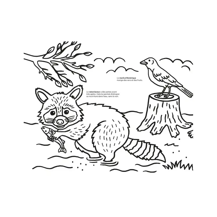 Paperole Livre à colorier - Cinq écosystème des Amériques