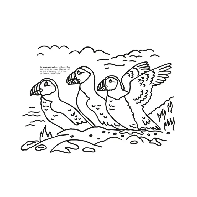 Paperole Livre à colorier - Cinq écosystème des Amériques