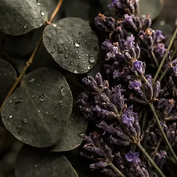 Selv Rituel Huile botanique - Bain et Corps 55ml -  Rituel Nordique