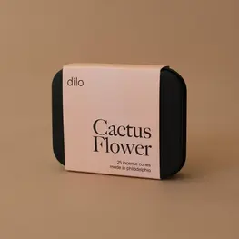 dilo Cônes d'encens - Cactus Flower