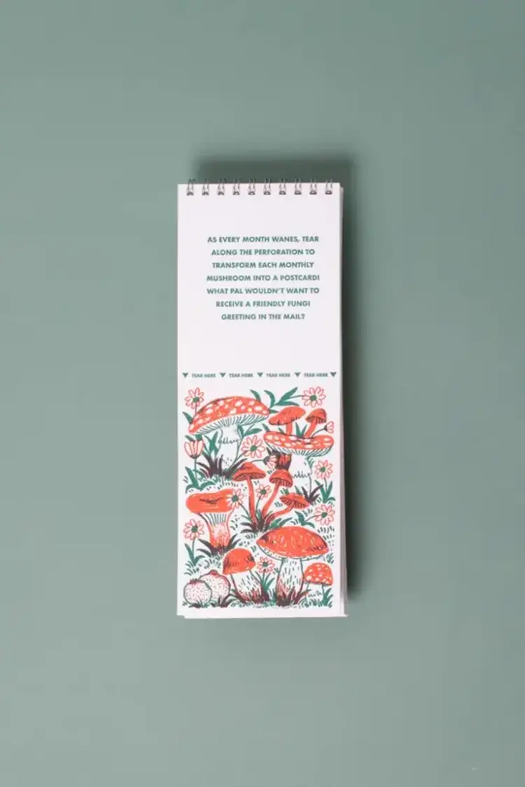 Egg Press Calendrier Mural 2027 - Gnomes et Champignons
