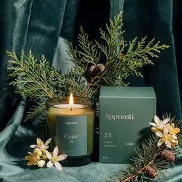 Apprenti Bougie - Cedar 35