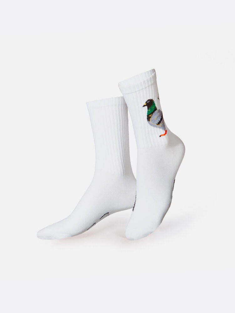 Eat my socks Chaussettes - Pigeon