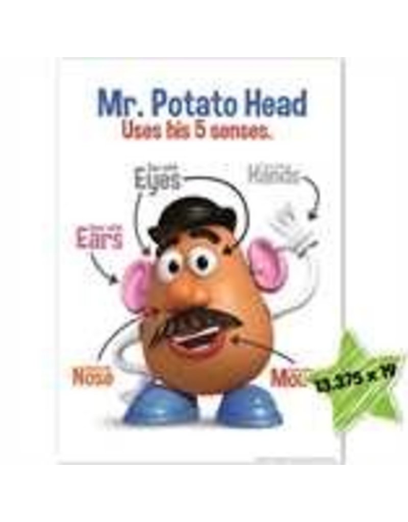 Mr. Potato Head 5 Senses Poster