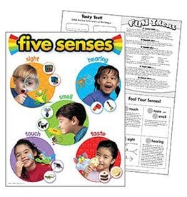 Five Senses Chart