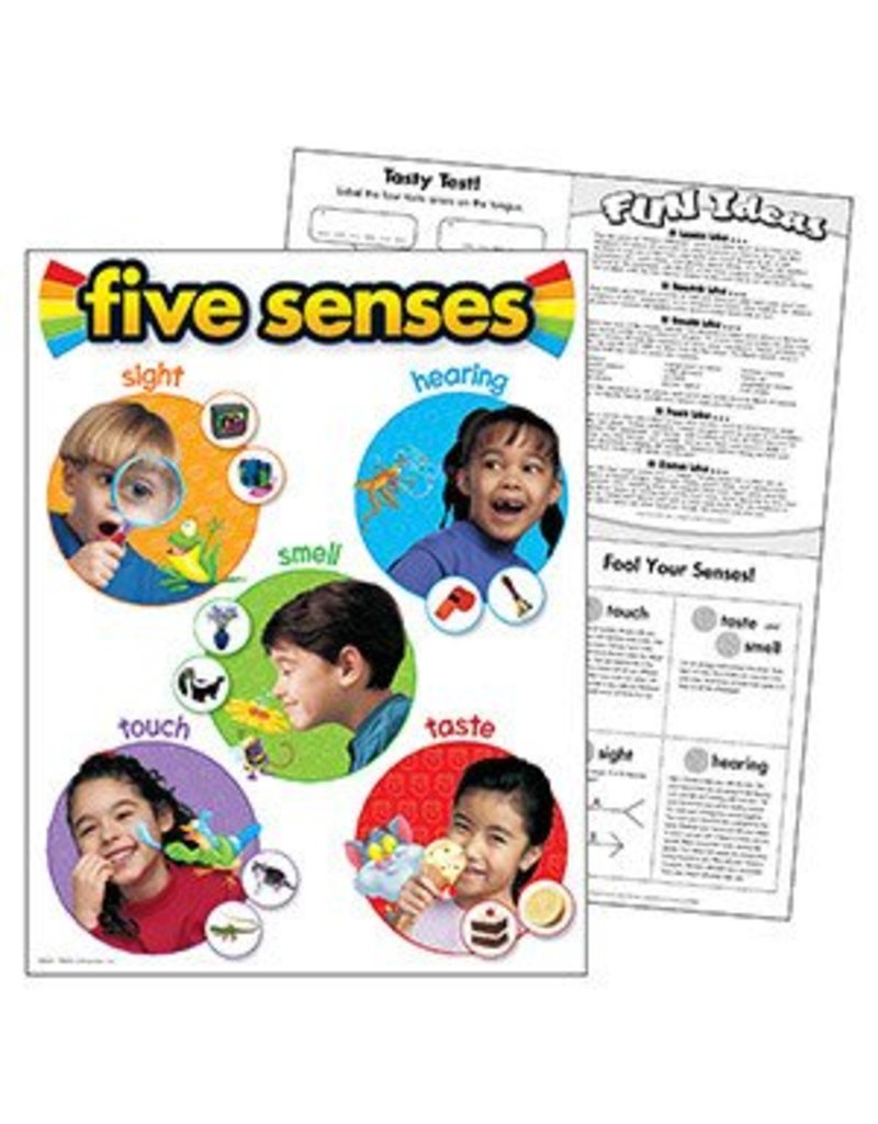Five Senses Chart